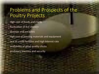 Poultry Management Problem Comprehensive Guide to Poultry Production in the Philippines: Broilers ...