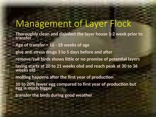 Comprehensive Guide to Poultry Production in the Philippines: Broilers ...