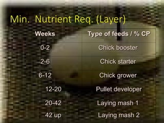 Layer Chicken Feeding Guide.pdf Comprehensive Guide to Poultry Production in the Philippines: Broilers ...