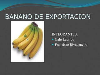 BANANO DE EXPORTACION
INTEGRANTES:
 Galo Laurido
 Francisco Rivadeneira
 