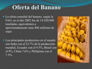 Oferta del Banano
 La oferta mundial del banano, según la
FAO, en el año 2002 fue de 14´620.000
toneladas, equivalentes a
aproximadamente unas 806 millones de
cajas.
 Los principales productores en el mundo
son India con el 23.7% de la producción
mundial, Ecuador con el 9.5%, Brasil con
el 9%, China 7.6% y Philipinas con el
7.3%.
 