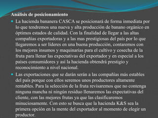 Análisis de posicionamiento
 La hacienda bananera CASCA se posicionará de forma inmediata por
lo que tendremos una nueva y alta producción de banano orgánico en
óptimos estados de calidad. Con la finalidad de llegar a las altas
compañías exportadoras y a las mas prestigiosas del país por lo que
llegaremos a ser líderes en una buena producción, contaremos con
los mejores insumos y maquinarias para el cultivo y cosecha de la
fruta para llenar las expectativas del exportador y en especial a los
países consumidores y así la hacienda obtendrá prestigio y
reconocimiento a nivel nacional.
 Las exportaciones que se darán serán a las compañías más estables
del país porque con ellos seremos unos productores altamente
rentables. Para la selección de la fruta revisaremos que no contenga
ninguna mancha ni ningún residuo llenaremos las expectativas del
cliente, con las mejores frutas ya que las clasificaremos
minuciosamente. Con esto se busca que la hacienda K&S sea la
primera opción en la mente del exportador al momento de elegir un
productor.
 