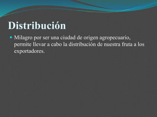Distribución
 Milagro por ser una ciudad de origen agropecuario,
permite llevar a cabo la distribución de nuestra fruta a los
exportadores.
 