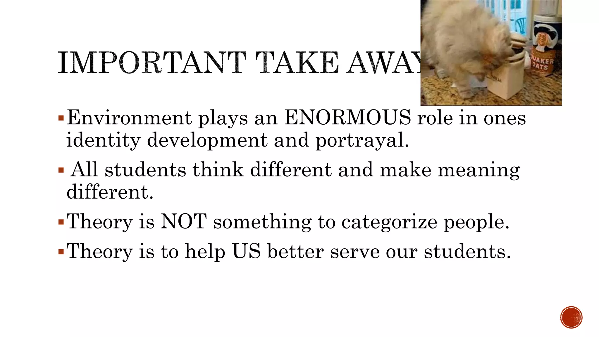 Environment plays an ENORMOUS role in ones
identity development and portrayal.
 All students think different and make meaning
different.
Theory is NOT something to categorize people.
Theory is to help US better serve our students.
 
