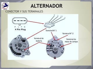 ALTERNADOR
CONECTOR Y SUS TERMINALES
 