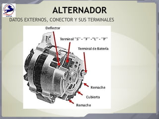 ALTERNADOR
DATOS EXTERNOS, CONECTOR Y SUS TERMINALES
 