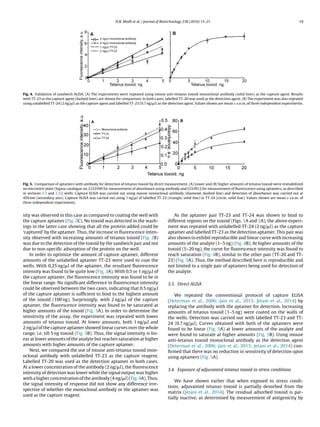 H.B. Modh et al. / Journal of Biotechnology 238 (2016) 15–21 19
Fig. 4. Validation of sandwich ALISA. (A) The experiments were repeated using mouse anti-tetanus toxoid monoclonal antibody (solid lines) as the capture agent. Results
with TT-23 as the capture agent (dashed lines) are shown for comparison. In both cases, labelled TT-20 was used as the detection agent. (B) The experiment was also repeated
using unlabelled TT-24 (2 ng/␮l) as the capture agent and labelled TT-23 (0.7 ng/␮l) as the detection agent. Values shown are mean ± s.e.m. of three independent experiments.
Fig. 5. Comparison of aptamers with antibody for detection of tetanus toxoid by direct measurement. (A) Lower and (B) higher amounts of tetanus toxoid were immobilized
on microtitre plate (Sigma catalogue no. CLS3590 for measurement of absorbance using antibody and CLS3912 for measurement of ﬂuorescence using aptamers, as described
in sections 2.3 and 2.5)) wells. Capture ELISA was carried out using mouse monoclonal antibody (diamond, dashed line) and detection of absorbance was carried out at
450 nm (secondary axis). Capture ALISA was carried out using 1 ng/␮l of labelled TT-23 (triangle, solid line) or TT-24 (circle, solid line). Values shown are mean ± s.e.m. of
three independent experiments.
sity was observed in this case as compared to coating the well with
the capture aptamer (Fig. 2C). No toxoid was detected in the wash-
ings in the latter case showing that all the protein added could be
‘captured’ by the aptamer. Thus, the increase in ﬂuorescence inten-
sity observed with increasing amounts of tetanus toxoid (Fig. 2B)
was due to the detection of the toxoid by the sandwich pair and not
due to non-speciﬁc adsorption of the protein on the well.
In order to optimize the amount of capture aptamer, different
amounts of the unlabelled aptamer TT-23 were used to coat the
wells. With 0.25 ng/␮l of the aptamer, the resultant ﬂuorescence
intensity was found to be quite low (Fig. 3A). With 0.5 or 1 ng/␮l of
the capture aptamer, the ﬂuorescence intensity was found to be in
the linear range. No signiﬁcant difference in ﬂuorescence intensity
could be observed between the two cases, indicating that 0.5 ng/␮l
of the capture aptamer is sufﬁcient to bind to the highest amount
of the toxoid (100 ng). Surprisingly, with 2 ng/␮l of the capture
aptamer, the ﬂuorescence intensity was found to be saturated at
higher amounts of the toxoid (Fig. 3A). In order to determine the
sensitivity of the assay, the experiment was repeated with lower
amounts of tetanus toxoid. At lower amounts, both 1 ng/␮l and
2 ng/␮l of the capture aptamer showed linear curves over the whole
range, i.e. till 5 ng toxoid (Fig. 3B). Thus, the signal intensity is lin-
ear at lower amounts of the analyte but reaches saturation at higher
amounts with higher amounts of the capture aptamer.
Next, we compared the use of mouse anti-tetanus toxoid mon-
oclonal antibody with unlabelled TT-23 as the capture reagent.
Labelled TT-20 was used as the detection aptamer in both cases.
At a lower concentration of the antibody (2 ng/␮l), the ﬂuorescence
intensity of detection was lower while the signal output was higher
with a higher concentration of the antibody (4 ng/␮l) (Fig. 4A). Thus,
the signal intensity of response did not show any difference irre-
spective of whether the monoclonal antibody or the aptamer was
used as the capture reagent.
As the aptamer pair TT-23 and TT-24 was shown to bind to
different regions on the toxoid (Figs. 1A and 2A), the above experi-
ment was repeated with unlabelled TT-24 (2 ng/␮l) as the capture
aptamer and labelled TT-23 as the detection aptamer. This pair was
also shown to exhibit reproducible and linear curve with increasing
amounts of the analyte (1–5 ng) (Fig. 4B). At higher amounts of the
toxoid (5–20 ng), the curve for ﬂuorescence intensity was found to
reach saturation (Fig. 4B), similar to the other pair (TT-20 and TT-
23) (Fig. 3A). Thus, the method described here is reproducible and
not limited to a single pair of aptamers being used for detection of
the analyte.
3.3. Direct ALISA
We repeated the conventional protocol of capture ELISA
(Determan et al., 2006; Jain et al., 2013; Jetani et al., 2014) by
replacing the antibody with the aptamer for detection. Increasing
amounts of tetanus toxoid (1–5 ng) were coated on the walls of
the wells. Detection was carried out with labelled TT-23 and TT-
24 (0.7 ng/␮l). Curves obtained with both of the aptamers were
found to be linear (Fig. 5A) at lower amounts of the analyte and
were found to saturate at higher amounts (Fig. 5B). Using mouse
anti-tetanus toxoid monoclonal antibody as the detection agent
(Determan et al., 2006; Jain et al., 2013; Jetani et al., 2014) con-
ﬁrmed that there was no reduction in sensitivity of detection upon
using aptamers (Fig. 5A).
3.4. Exposure of adjuvanted tetanus toxoid to stress conditions
We have shown earlier that when exposed to stress condi-
tions, adjuvanted tetanus toxoid is partially desorbed from the
matrix (Jetani et al., 2014). The residual adsorbed toxoid is par-
tially inactive, as determined by measurement of antigenicity by
 