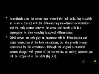 Embryology of the Skeletal and Muscular Systems: Development and ...