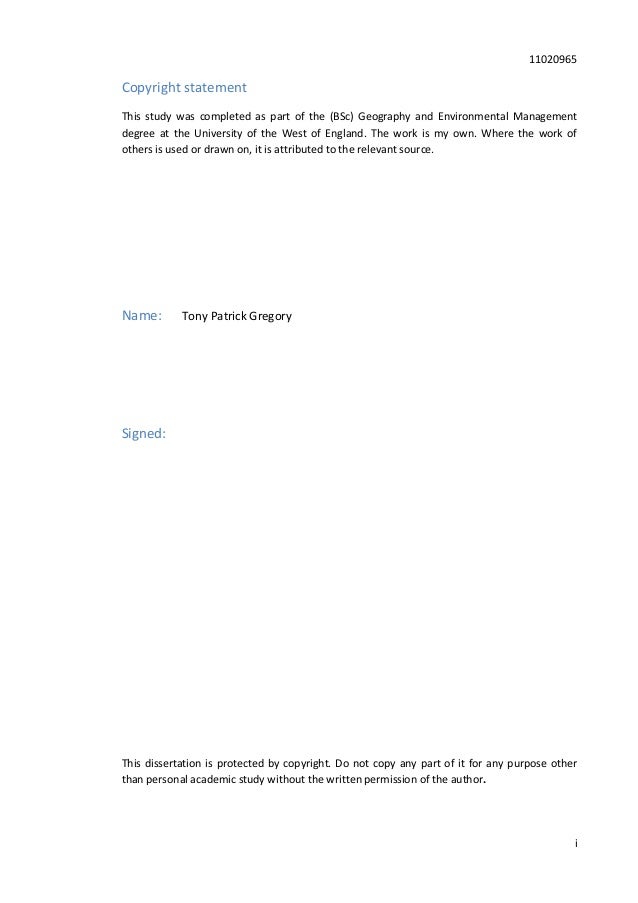 Bsc geography dissertation