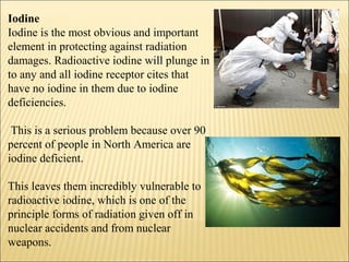 Iodine
Iodine is the most obvious and important
element in protecting against radiation
damages. Radioactive iodine will plunge in
to any and all iodine receptor cites that
have no iodine in them due to iodine
deficiencies.
This is a serious problem because over 90
percent of people in North America are
iodine deficient.
This leaves them incredibly vulnerable to
radioactive iodine, which is one of the
principle forms of radiation given off in
nuclear accidents and from nuclear
weapons.
 