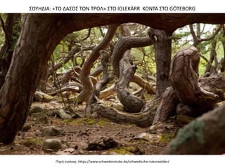 Πθγι εικόνασ: https://www.schwedenstube.de/schwedische-naturwalder/
΢ΟΤΗΔΙΑ: «ΣΟ ΔΑ΢Ο΢ ΣΩΝ ΣΡΟΛ» ΢ΣΟ IGLEKÄRR ΚΟΝΣΑ ΢ΣΟ GÖTEBORG
 