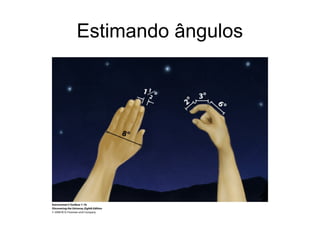 Estimando ângulos
 