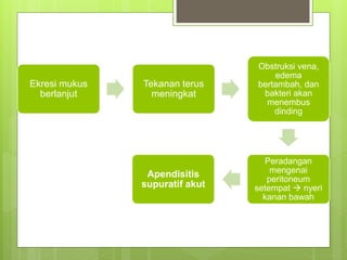 Ekresi mukus
berlanjut
Tekanan terus
meningkat
Obstruksi vena,
edema
bertambah, dan
bakteri akan
menembus
dinding
Peradangan
mengenai
peritoneum
setempat  nyeri
kanan bawah
Apendisitis
supuratif akut
 