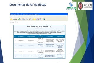 Documentos de la Viabilidad
 
