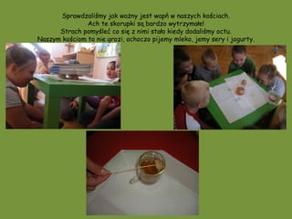 Sprawdzaliśmy jak ważny jest wapń w naszych kościach.
               Ach te skorupki są bardzo wytrzymałe!
      Strach pomyśleć co się z nimi stało kiedy dodaliśmy octu.
Naszym kościom to nie grozi, ochoczo pijemy mleko, jemy sery i jogurty.
 