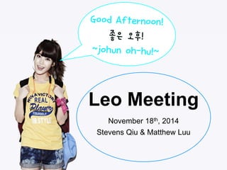 Leo Meeting 
November 18th, 2014 
Stevens Qiu & Matthew Luu 
 