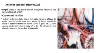 35 Anatomy of Blood Supply of the brain2 final.pptx