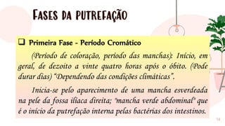 Fases da putrefação
14
❑ Primeira Fase - Período Cromático
(Período de coloração, período das manchas): Início, em
geral, de dezoito a vinte quatro horas após o óbito. (Pode
durar dias) “Dependendo das condições climáticas”.
Inicia-se pelo aparecimento de uma mancha esverdeada
na pele da fossa ilíaca direita; "mancha verde abdominal" que
é o início da putrefação interna pelas bactérias dos intestinos.
 