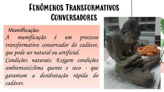 18
Fenômenos Transformativos
Conversadores
Mumificação:
A mumificação é um processo
transformativo conservador do cadáver,
que pode ser natural ou artificial.
Condições naturais: Exigem condições
ambientais(clima quente e seco - que
garantam a desidratação rápida do
cadáver.
 