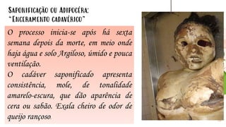19
Saponificação ou Adipocéra:
“Enceramento cadavérico”
O processo inicia-se após há sexta
semana depois da morte, em meio onde
haja água e solo Argiloso, úmido e pouca
ventilação.
O cadáver saponificado apresenta
consistência, mole, de tonalidade
amarelo-escura, que dão aparência de
cera ou sabão. Exala cheiro de odor de
queijo rançoso.
 