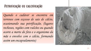 20
Petrificação ou calcificação
Quando o cadáver se encontra em
terrenos com excesso de sais de cálcio,
ocasionando sua petrificação, (lugares
rochosos, regiões com vulcões ou quando
ocorre a morte do feto e o organismo da
mãe o envolve com o cálcio, formando
assim um encapsulamento)
 