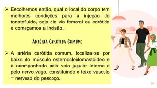 36
➢ Escolhemos então, qual o local do corpo tem
melhores condições para a injeção do
tanatofluido, seja ela via femoral ou carótida
e começamos a incisão.
Artéria Carótida Comum:
➢ A artéria carótida comum, localiza-se por
baixo do músculo esternocleidomastóideo e
é acompanhada pela veia jugular interna e
pelo nervo vago, constituindo o feixe vásculo
– nervoso do pescoço.
 