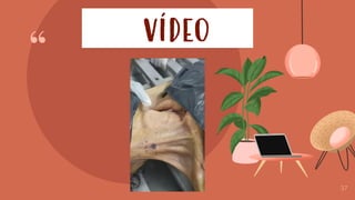 “
37
✓ VÍDEO
 