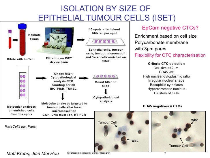 mco 2011 slide 35 f blackhall spotlight session circulating epithelial cell size