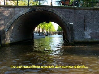 Vea qué maravillosa secuencia de 7 puentes al fondo...  