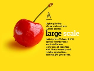 AEMEX Presentation4 pdf