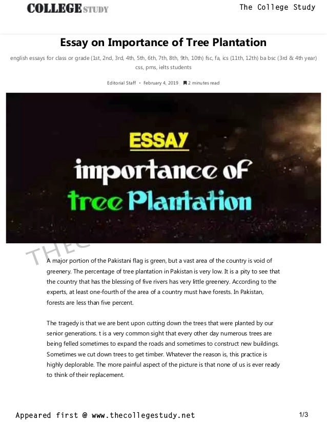 Thesis For Essay Frankenstein Essay Thesis also Essays In Literature Essay On Importance Of Tree Plantation The College Study Position Paper Essay