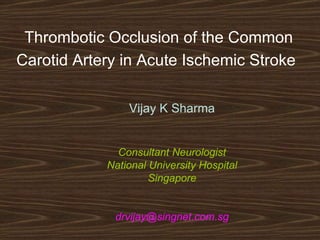 Thrombotic Occlusion of the Common Carotid Artery in Acute Ischemic Stroke   Vijay K Sharma Consultant Neurologist National University Hospital Singapore [email_address] 