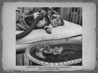 Múltunkból 04 – Kacsák a vastüdőben lévő kislány megnyugtatására
(Állatok a gyógyászatban, 1956)
 