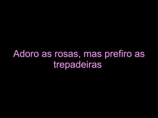 Adoro as rosas, mas prefiro as trepadeiras   