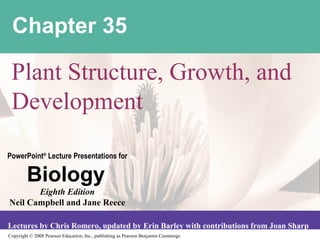 Copyright © 2008 Pearson Education, Inc., publishing as Pearson Benjamin Cummings
PowerPoint®
Lecture Presentations for
Biology
Eighth Edition
Neil Campbell and Jane Reece
Lectures by Chris Romero, updated by Erin Barley with contributions from Joan Sharp
Chapter 35
Plant Structure, Growth, and
Development
 