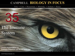 CAMPBELL BIOLOGY IN FOCUS
© 2014 Pearson Education, Inc.
Urry • Cain • Wasserman • Minorsky • Jackson • Reece
Lecture Presentations by
Kathleen Fitzpatrick and Nicole Tunbridge
35
The Immune
System
 