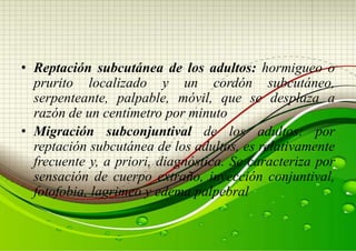 • Reptación subcutánea de los adultos: hormigueo o
prurito localizado y un cordón subcutáneo,
serpenteante, palpable, móvil, que se desplaza a
razón de un centímetro por minuto
• Migración subconjuntival de los adultos: por
reptación subcutánea de los adultos, es relativamente
frecuente y, a priori, diagnóstica. Se caracteriza por
sensación de cuerpo extraño, inyección conjuntival,
fotofobia, lagrimeo y edema palpebral

 