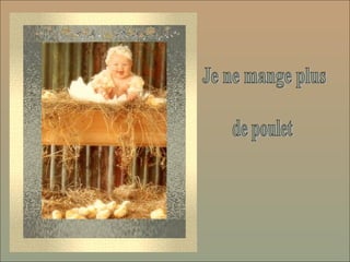 Je ne mange plus de poulet… Je ne mange plus  de poulet 