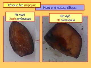 Με νερό
Χωρίς οινόπνευμα
Με νερό
Με οινόπνευμα
Μετά από ημέρες είδαμε:
Κάναμε ένα πείραμα:
 