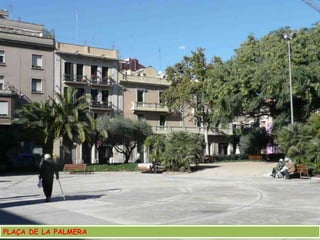 PLAÇA DE LA PALMERA