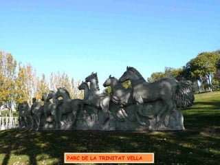 PARC DE LA TRINITAT VELLA