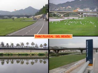 PARC FLUVIAL  DEL BESÓS 