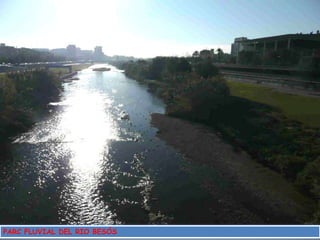 PARC FLUVIAL DEL RIO BESÓS