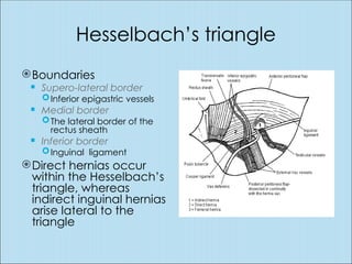 Mmmmmmmmmmmm35SG INGUINAL HERNIA mgt.ppt