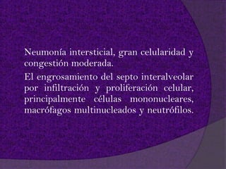 Neumonía intersticial, gran celularidad y
congestión moderada.
El engrosamiento del septo interalveolar
por infiltración y proliferación celular,
principalmente células mononucleares,
macrófagos multinucleados y neutrófilos.
 