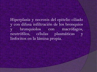Hiperplasia y necrosis del epitelio ciliado
y con difusa infiltración de los bronquios
y     bronquiolos      con      macrófagos,
neutrófilos, células plasmáticas y
linfocitos en la lámina propia.
 