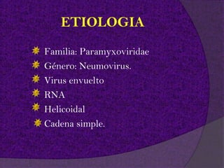 ETIOLOGIA
Familia: Paramyxoviridae
Género: Neumovirus.
Virus envuelto
RNA
Helicoidal
Cadena simple.
 