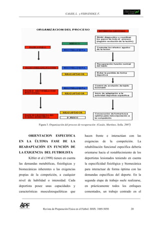 CASÁIS, L. y FERNÁNDEZ, F.
Revista de Preparación Física en el Fútbol. ISSN: 1889-5050 20
!
!
Figura 3. Organización del proceso de recuperación (Casáis, Martínez, Solla, 2007)
ORIENTACION ESPECIFICA
EN LA ÚLTIMA FASE DE LA
READAPTACIÓN EN FUNCIÓN DE
LA EXIGENCIA DEL FUTBOLISTA
Kibler et al (1998) tienen en cuenta
las demandas metabólicas, fisiológicas y
biomecánicas inherentes a las exigencias
propias de la competición, a cualquier
nivel de habilidad o intensidad. Cada
deportista posee unas capacidades y
características musculoesqueléticas que
hacen frente e interactúan con las
exigencias de la competición. La
rehabilitación funcional específica debería
orientarse hacia el restablecimiento de los
deportistas lesionados teniendo en cuenta
la especificidad fisiológica y biomecánica
para interactuar de forma óptima con las
demandas específicas del deporte. En la
segunda etapa de trabajo suele realizarse,
en prácticamente todos los enfoques
comentados, un trabajo centrado en el
 