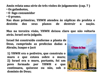 Amós relata uma série de três visões de julgamento: (cap. 7 )
• Os gafanhotos,
• O fogo consumidor
• O prumo.
Nas duas primeiras, YHWH atendeu às súplicas do profeta e
desistiu dos seus planos de destruir a nação.
Mas na terceira visão, YHWH deixou claro que não voltaria
atrás. Israel seria julgado.
Israel foi construído conforme a planta de
Deus, cumprindo as profecias dadas a
Abraão, Isaque e Jacó
1) YHWH era o pedreiro, que construiu o
muro e que estava sobre o muro;
2) Israel era o muro, portanto, foi um
povo formado por YHWH e que
continuava, quisesse ou não, sob o
domínio de Deus;
 