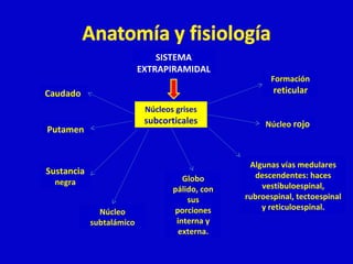 SISTEMA 
EXTRAPIRAMIDAL 
Núcleos grises 
subcorticales 
Caudado 
Putamen 
Globo 
pálido, con 
sus 
porciones 
interna y 
externa. 
Núcleo 
subtalámico 
Sustancia 
negra 
Formación 
reticular 
Núcleo rojo 
Algunas vías medulares 
descendentes: haces 
vestibuloespinal, 
rubroespinal, tectoespinal 
y reticuloespinal. 
 